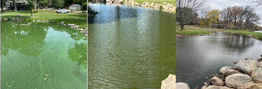 Nano Void TM test cleaned up HOA pond in only 4 days - and even cleaner 1 month after